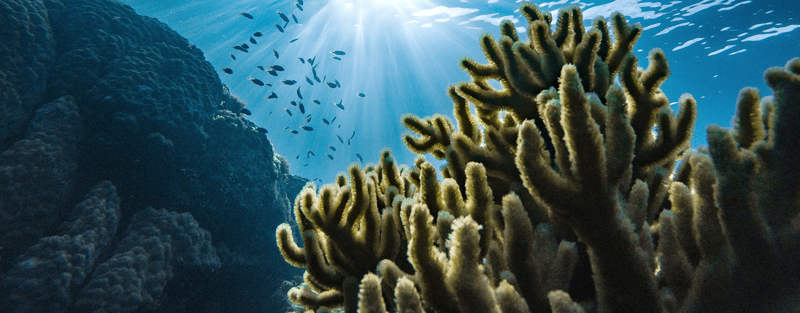 沙巴中水回用、陶瓷膜、石墨烯膜、黑金膜公家号，迎接您扫码关注！