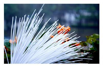 沙巴(中国)体育有限公司官网