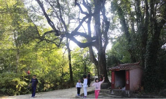 沙巴(中国)体育有限公司官网